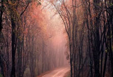 九游娱乐：[棋牌]世界最高棋士赛确认延期 柯洁获赞助商外卡.