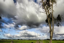 九游娱乐：CCTV5直播冠军赛4月2日国乒赛程+直播时间表+昨日赛果.