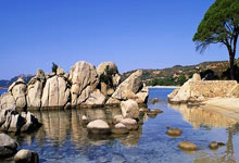 乒乓球亚洲杯：王楚钦 孙颖莎等多名国乒主力晋级八强.